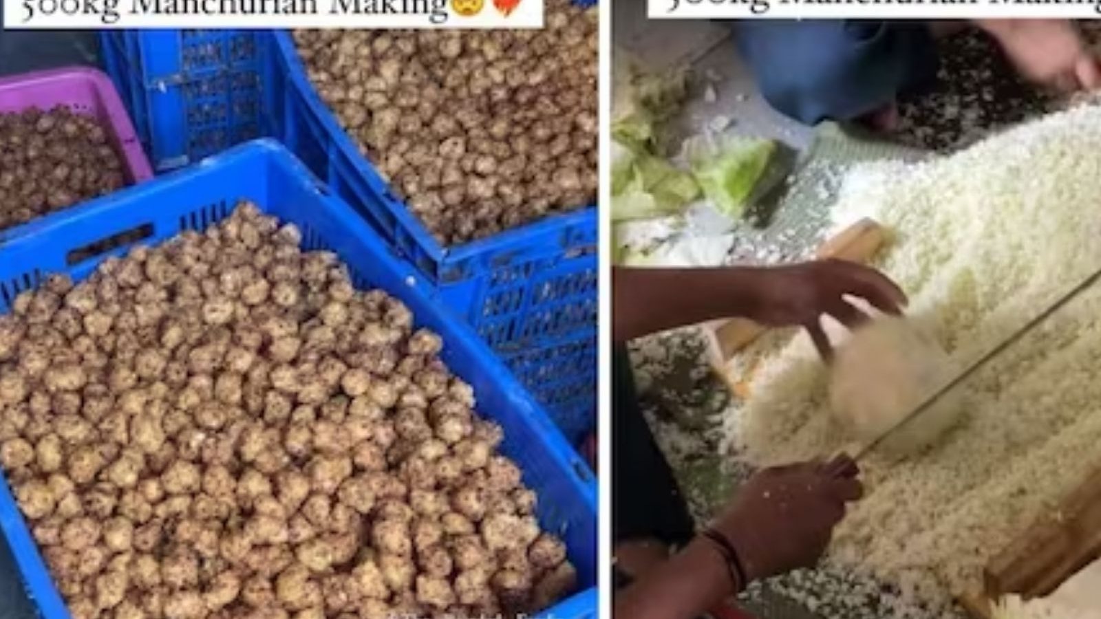 மஞ்சூரியன் விரும்பி சாப்பிடும் நபரா நீங்கள்? இந்த வீடியோவை பாருங்க!