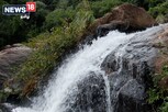திண்டுக்கல்லில் குடும்பத்துடன் குதூகலமாக குளியல் போட சூப்பர் ஸ்பாட்