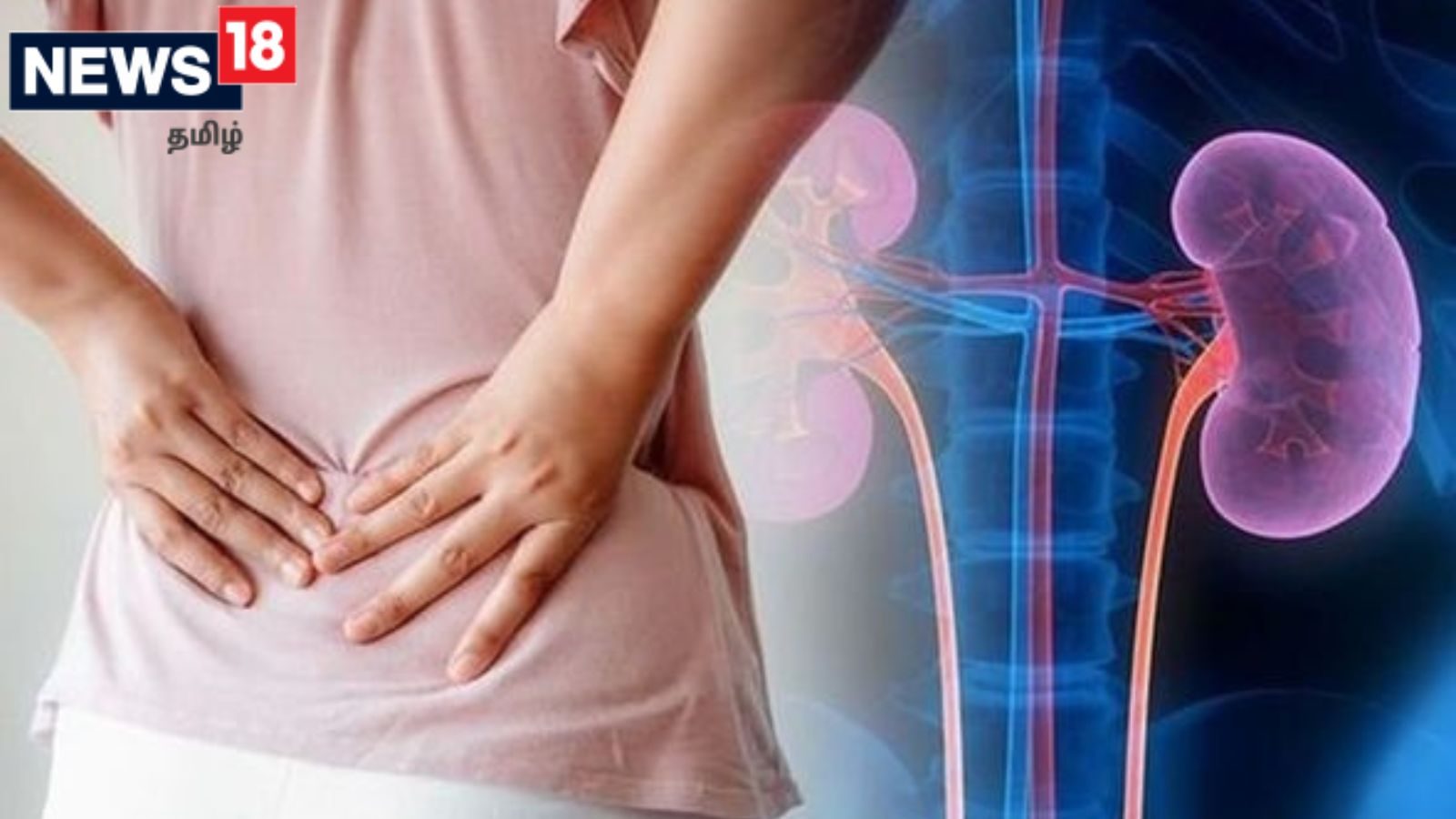 மழைக்காலத்தில் அதிகமாக பாதிக்கப்படும் சிறுநீரகங்கள்... பாதுகாப்பாக இருக்கும் வழிமுறைகள்..!