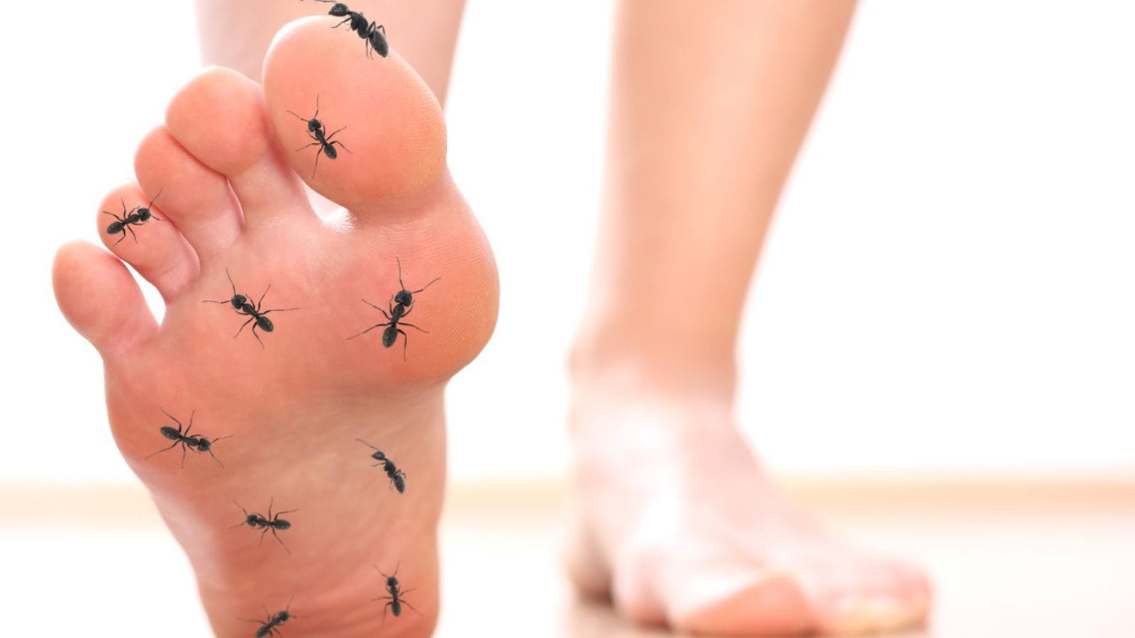 இந்த உணவுகளை சாப்பிட்டால் கை, கால் மரத்து போகும் பிரச்சனையே வராது..!