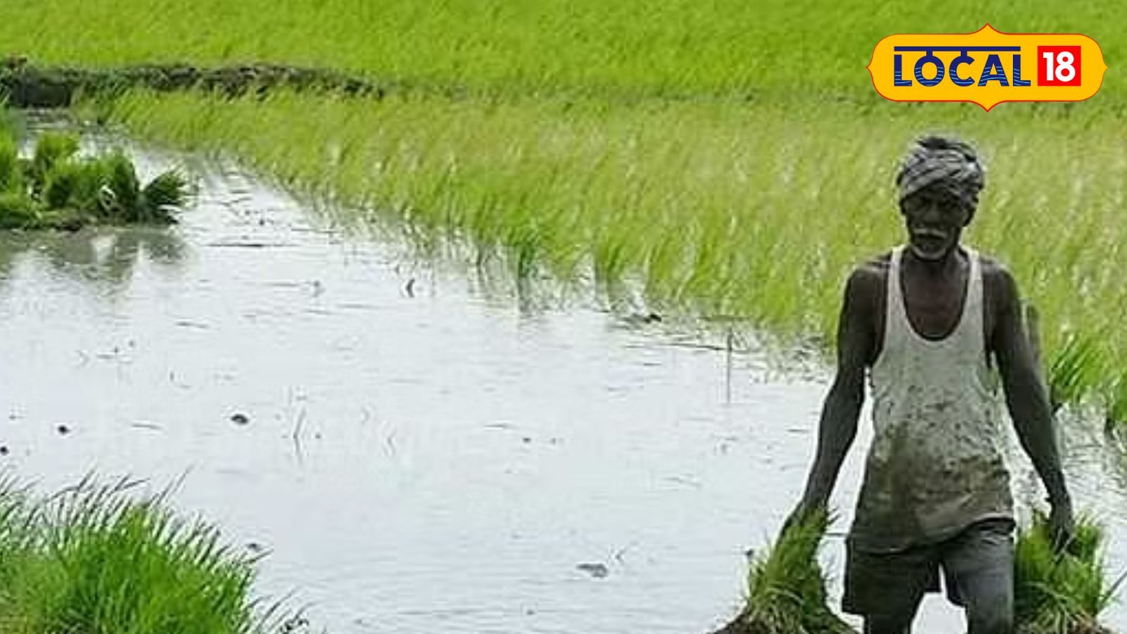 pudukkottai district news | Farmers in Pudukottai district can avail ...