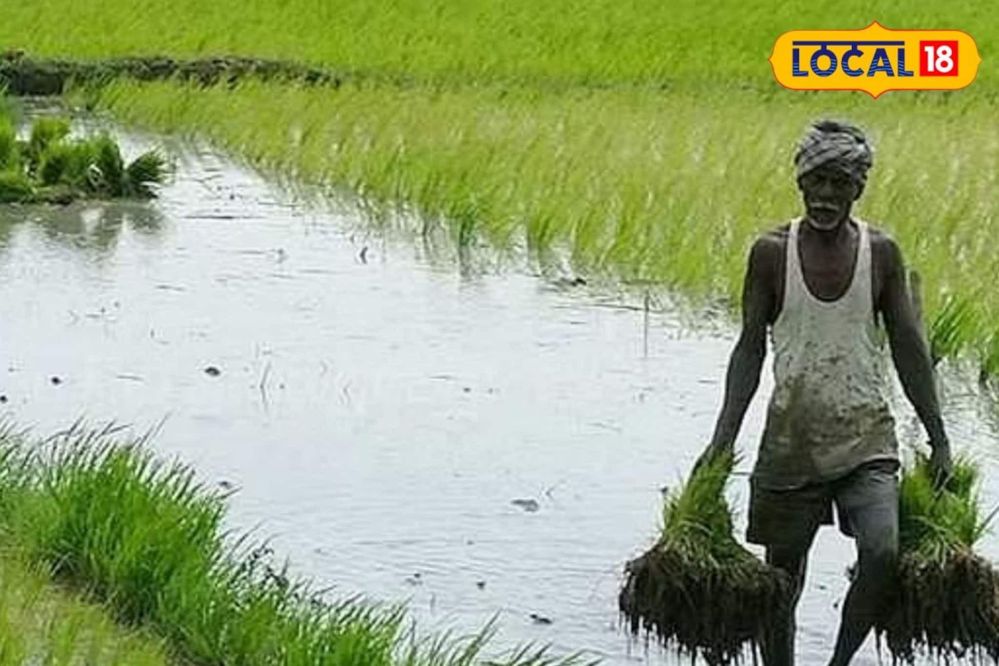 News Stories of Pudukottai in Tamil, தமிழில் புதுக்கோட்டை செய்திகள்