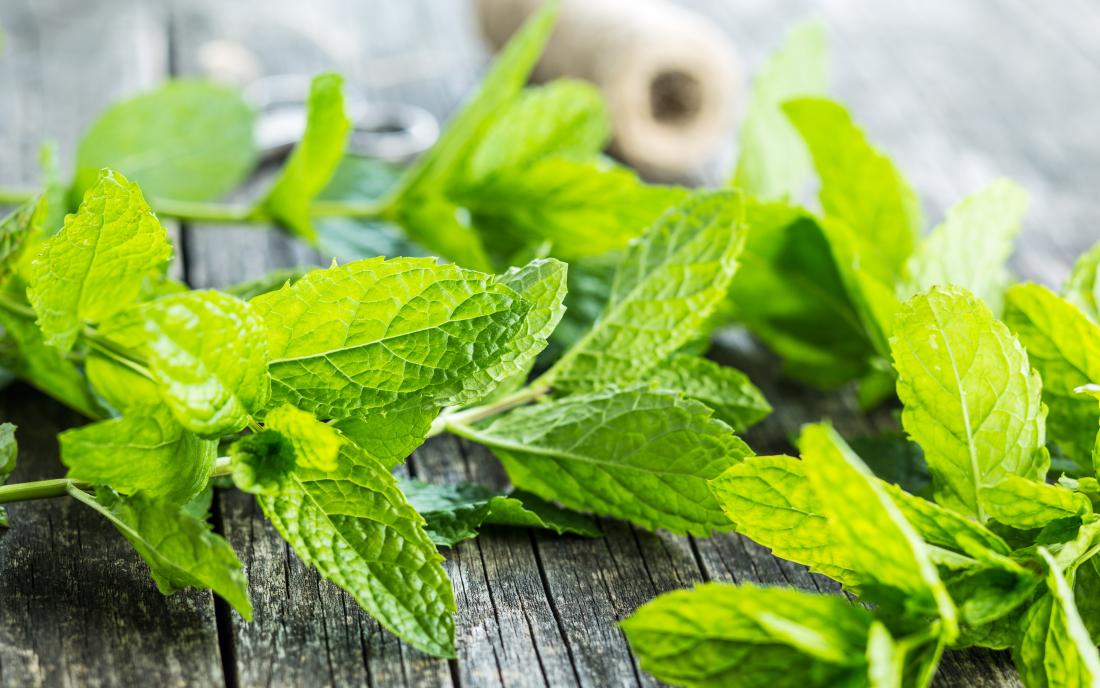 What happens to your body if you eat mint leaves or pudina every day?