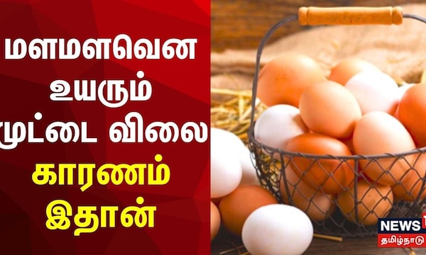 மளமளவென உயரும்முட்டை விலை - காரணம் இதான் | Egg Price Today | Non Veg