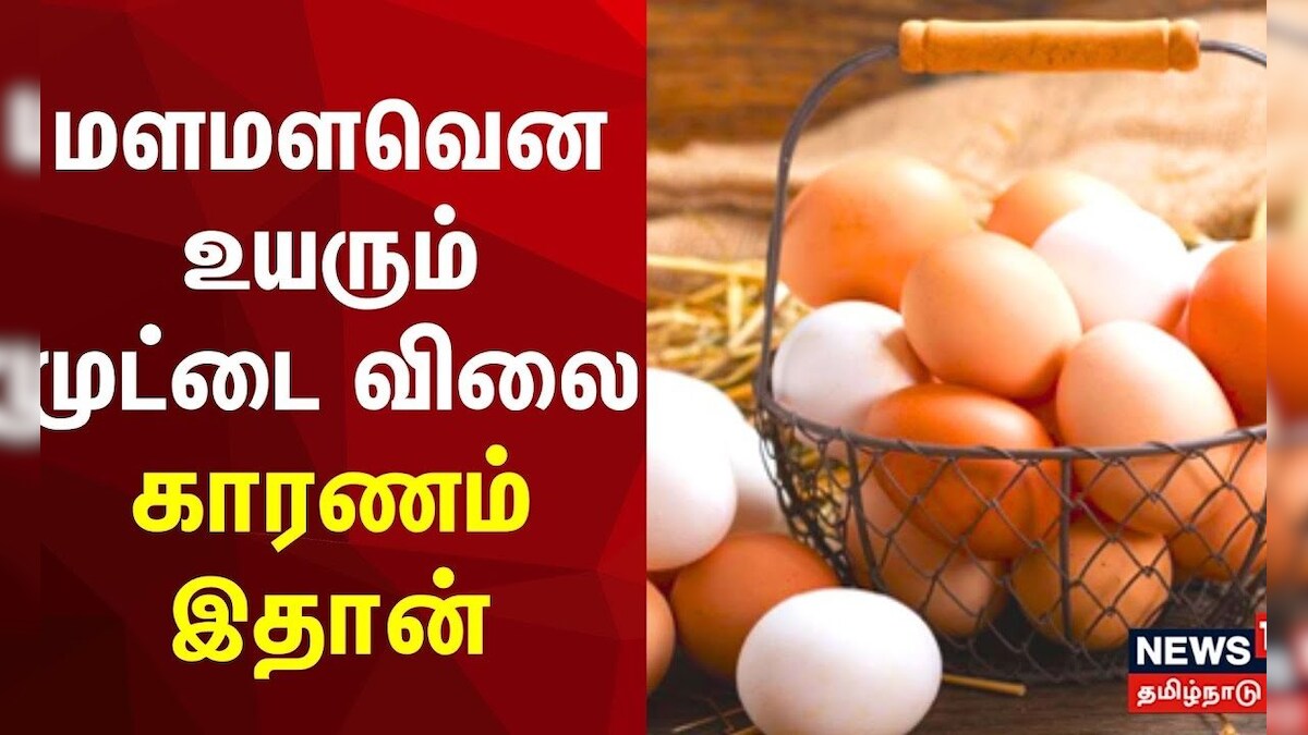 மளமளவென உயரும்முட்டை விலை - காரணம் இதான் | Egg Price Today | Non Veg
