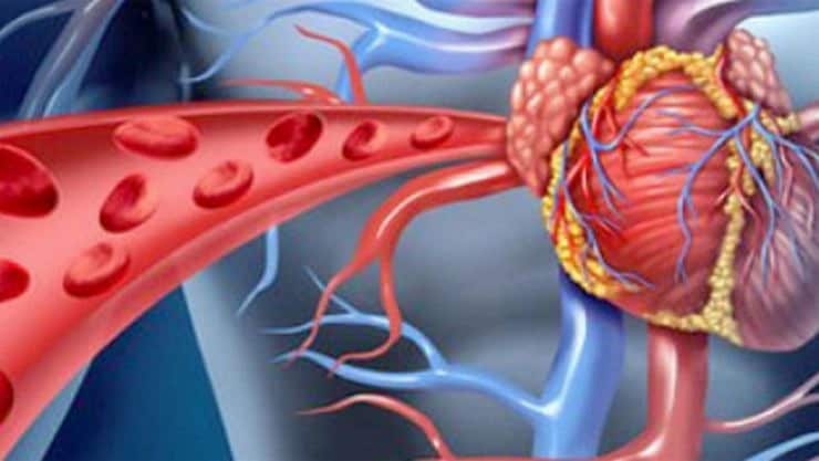 இரத்த குழாய்களில் அடைப்பு ஏற்படுவது எப்படி..? இந்த உணவுகளை எடுத்துகிட்டா தப்பிக்கலாம்..! | லைஃப்ஸ்டைல் - News18 தமிழ்