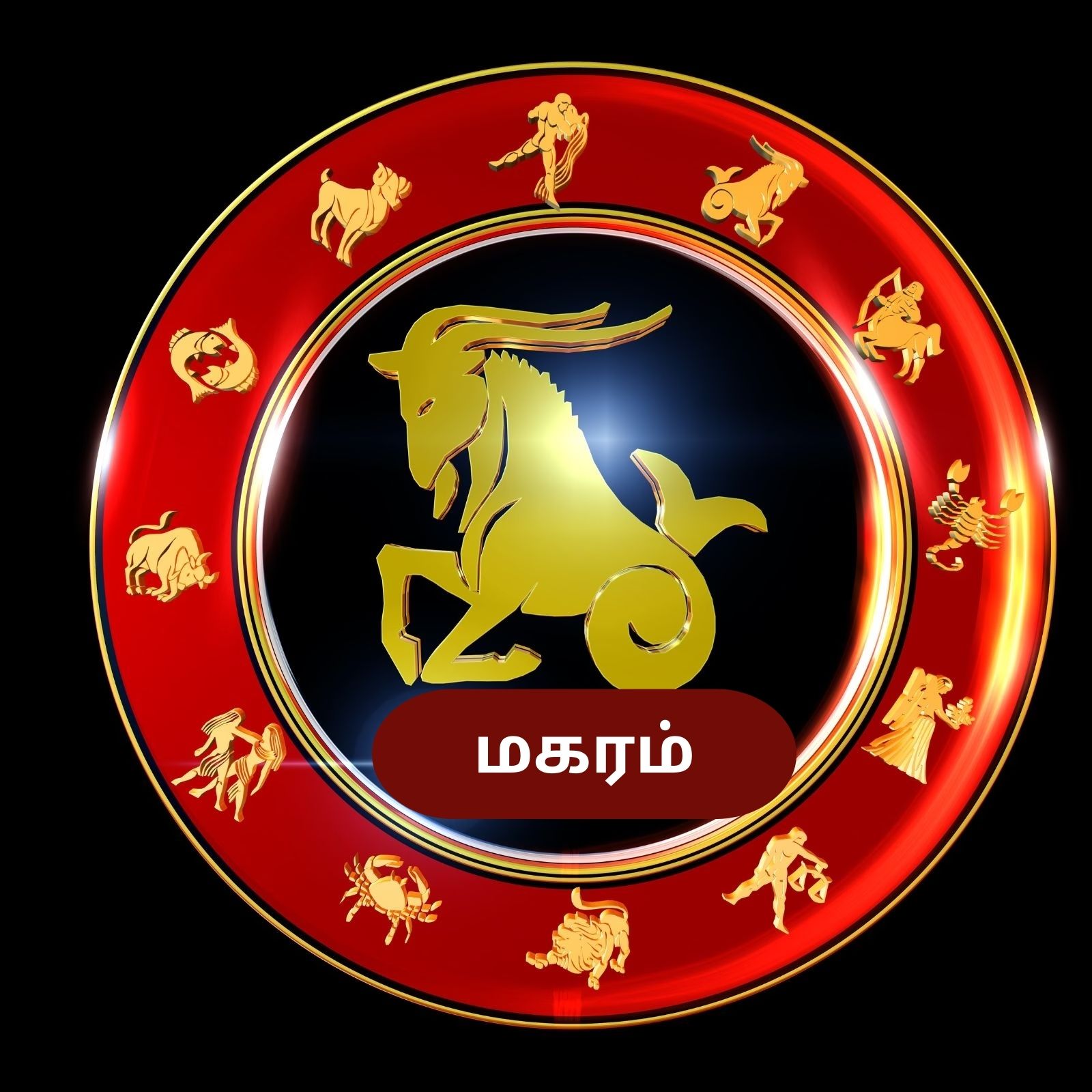 தமிழ் புத்தாண்டு 2024: நீங்க மகர ராசிக்காரரா? உங்களுக்கான பலன்கள் இதோ!