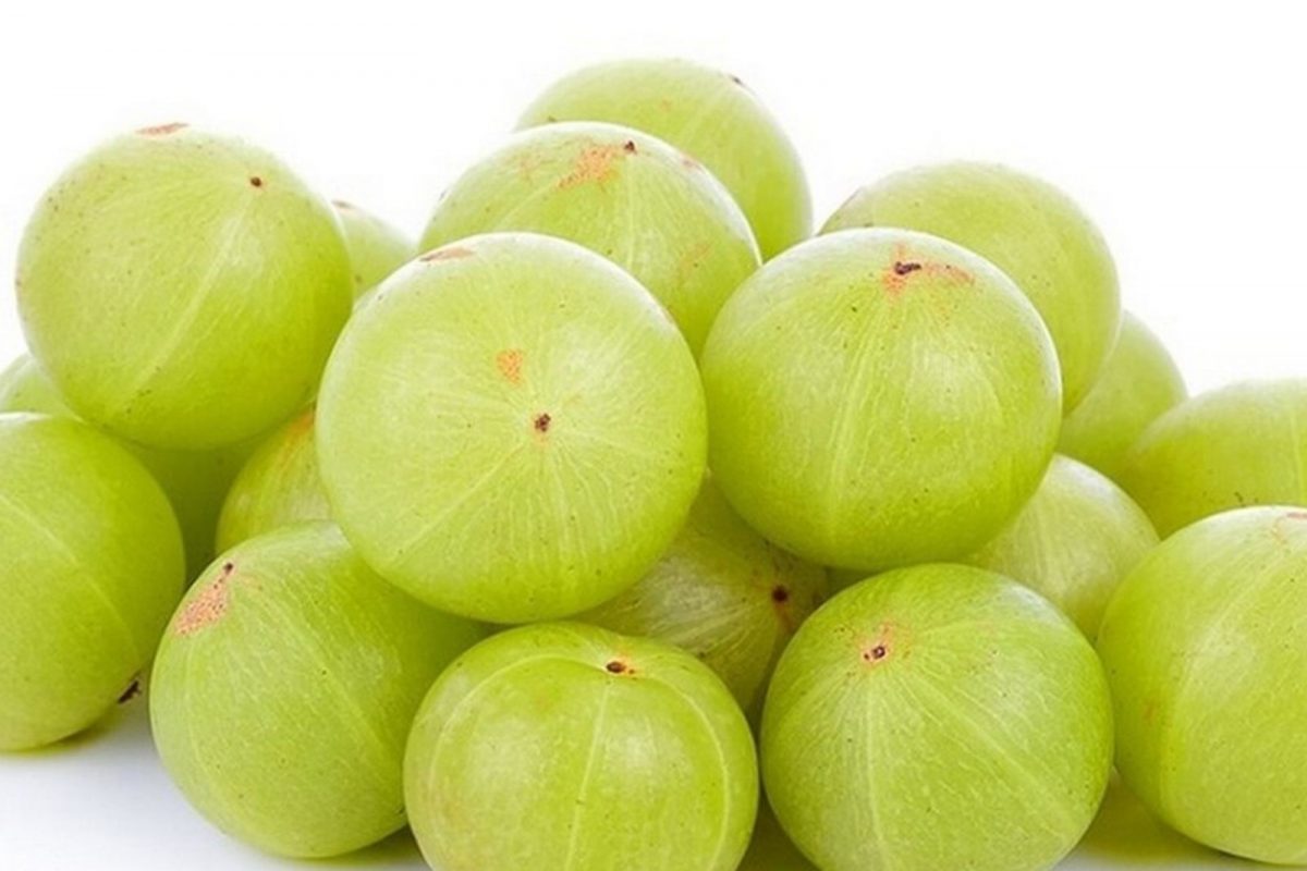Merebus gooseberry dan memakannya…apakah membawa banyak manfaat bagi tubuh..! Merebus gooseberry dan memakannya…apakah membawa banyak manfaat bagi tubuh..!