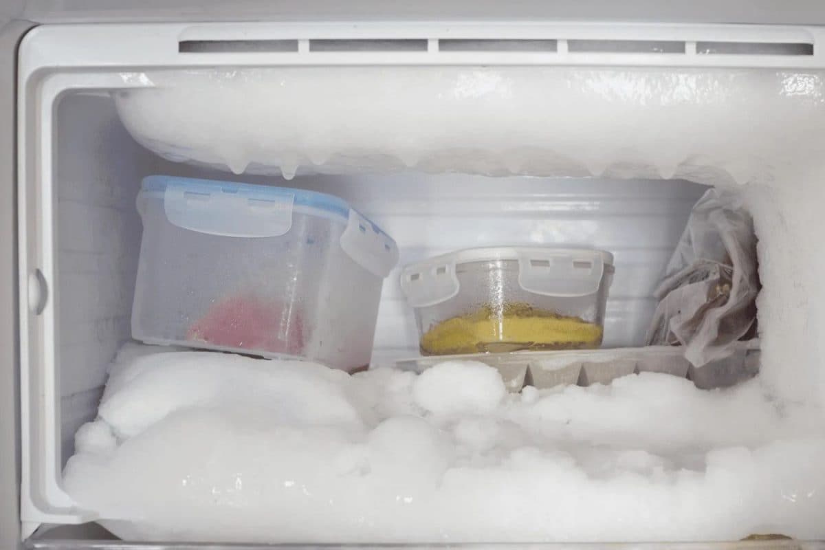    Freezer 2024 01 F7b4acba84b0a03c77f6dedfbcbf331e 3x2 