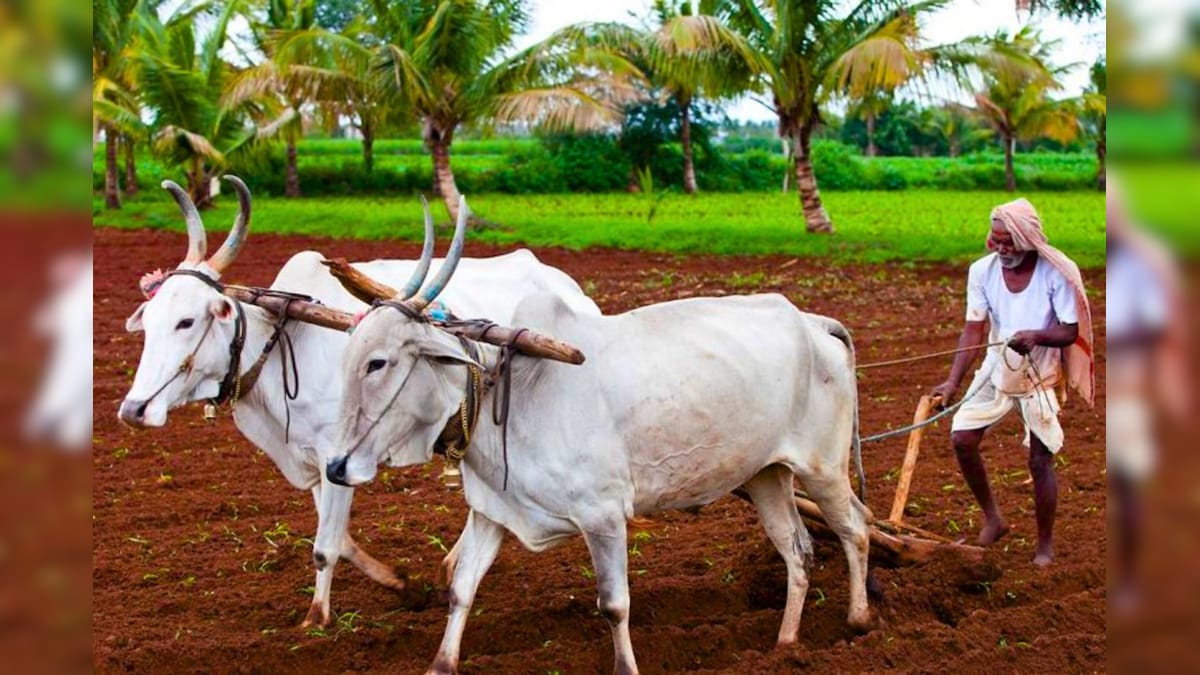 பிஎம் கிசான் - நிலுவையில் உள்ளவர்களுக்கு விரைவில் வங்கி கணக்கில் பணம் செலுத்தப்படும்! – News18 தமிழ்