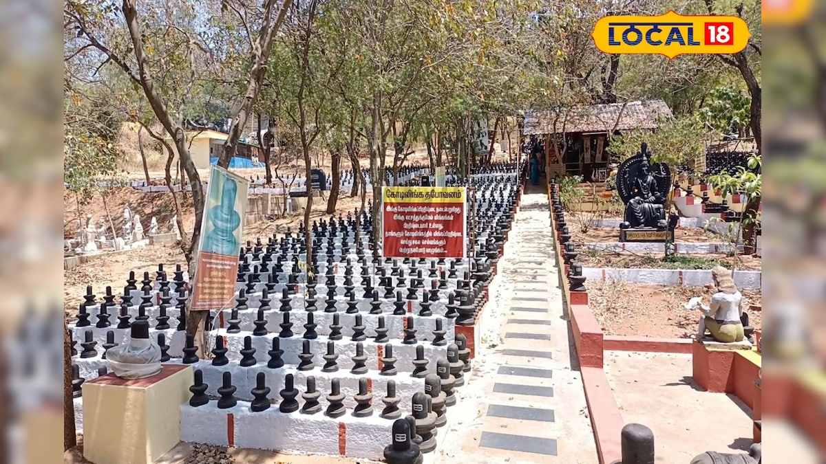 பிரமிக்க வைக்கும் ஆயிரக் கணக்கான சிவலிங்கம் சிலைகள்... நம்ம நகரின் சிறப்பு... – News18 தமிழ்