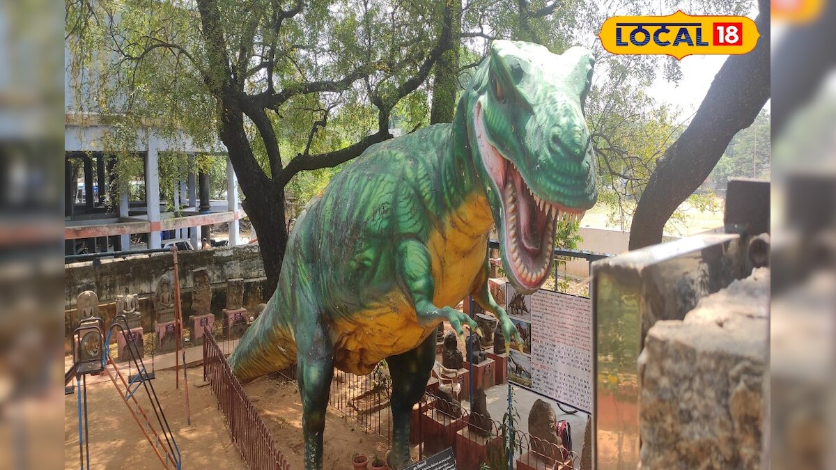 நெல்லையில் டைனோசரை பார்க்க முடியும்..பயப்படாதீங்க  – News18 தமிழ்