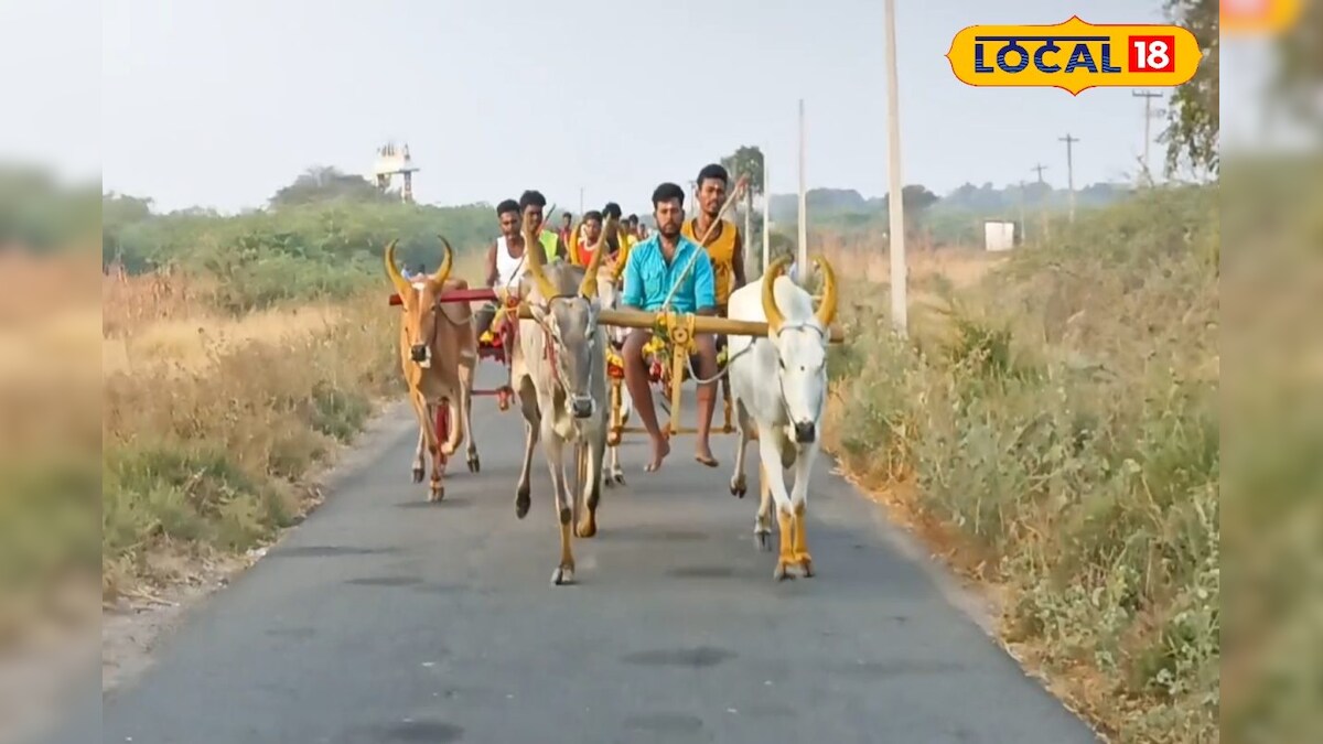 இரட்டை மாட்டுவண்டி போட்டி... சீறிப்பாய்ந்து பரிசுகளை வென்ற காளைகள்... – News18 தமிழ்