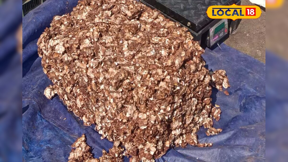 திண்டுக்கல்லில் புளி வரத்து குறைவு.. தகுந்த விலை கிடைக்காமல் விவசாயிகள் வேதனை – News18 தமிழ்