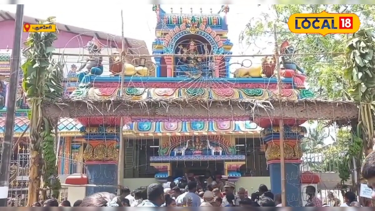 நடன காளியம்மன் ஆலய கும்பாபிஷேகம்...பக்தர்கள் பரவசம் – News18 தமிழ்