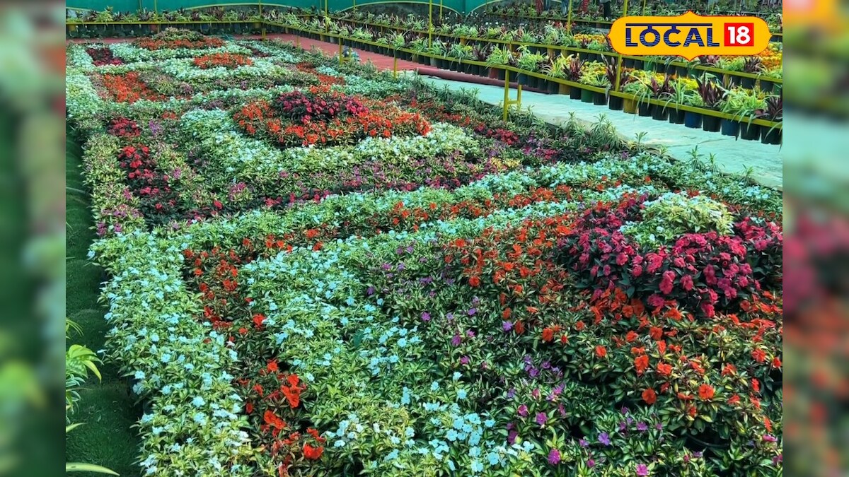 தொடங்கியாச்சு மலர் கண்காட்சி... கோடை விடுமுறையில் மிஸ் பண்ணிடாதீங்க.. – News18 தமிழ்