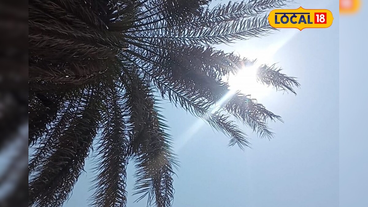 weather update Panguni Veyil start Ramanathapuram rising temperature mnj pdp – News18 தமிழ்