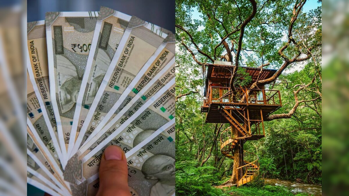 ஒரு நாளைக்கு ரூ.31,000 வருமானம் - ஜாலியாக சம்பாதிக்கும் நபர்! – News18 தமிழ்