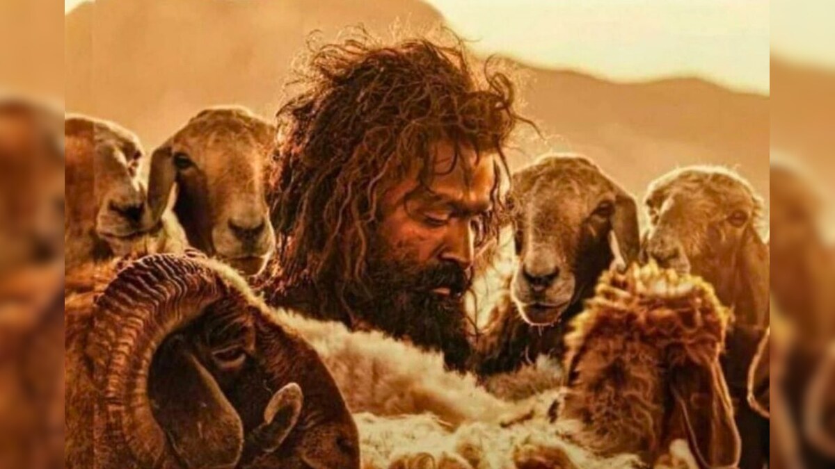 ஆடு ஜீவிதம்.. 14 வருட காத்திருப்புக்குப் பின் வெளியாகும் படம்..! – News18 தமிழ்