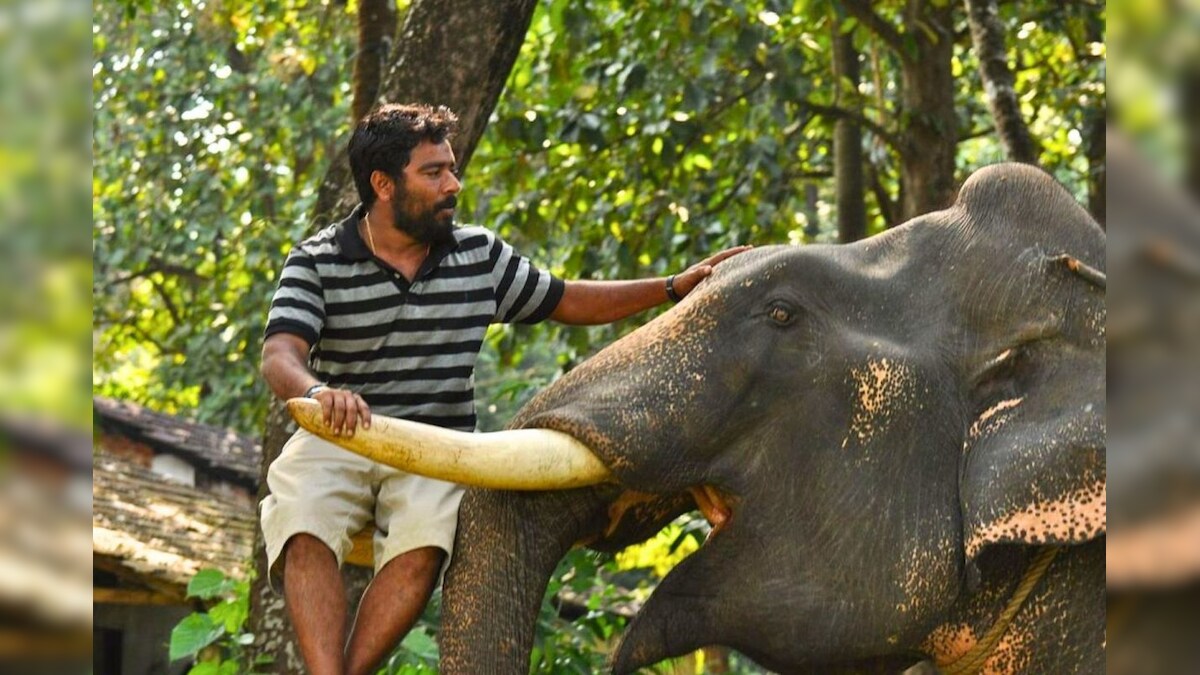 முத்தையா படத்தில் வில்லனாக அறிமுகமாகும் விஜய் பட ஒளிப்பதிவாளர்..? – News18 தமிழ்