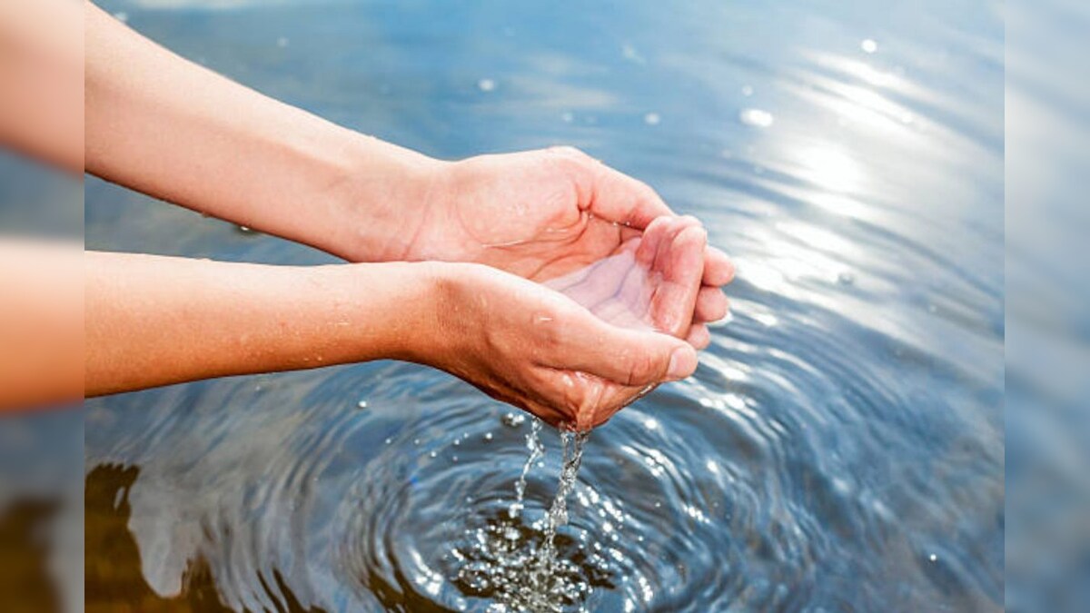 இந்த உயிரினம் தன் வாழ்நாள் முழுவதும் ஒரு சொட்டு தண்ணீ கூட குடிப்பதில்லை! – News18 தமிழ்