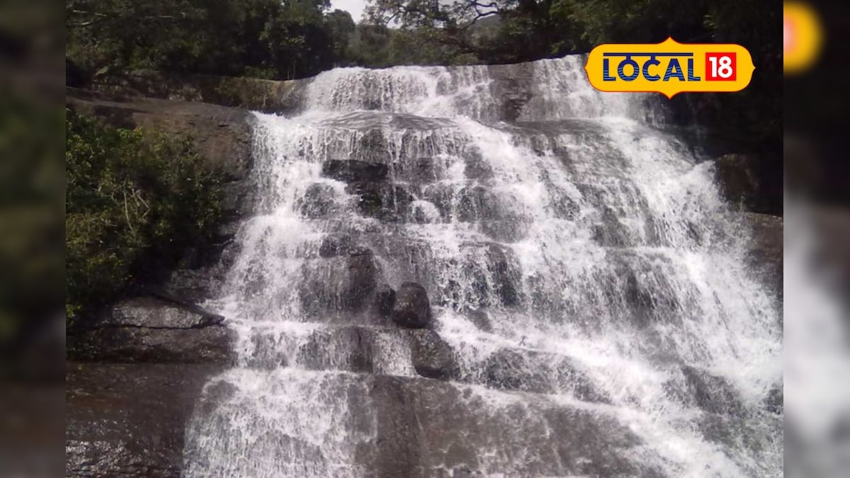 மிஸ் பண்ணக்கூடாத சின்ன சுருளி அருவி... இந்த தகவலை தெரிஞ்சிக்கோங்க... – News18 தமிழ்