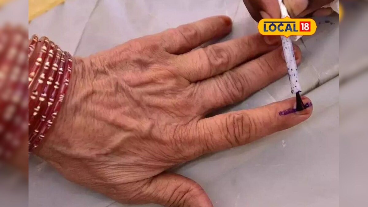 தென்காசி நாடாளுமன்ற தேர்தல்...சிறப்பு அதிகாரிகள் விபரம் இதோ – News18 தமிழ்