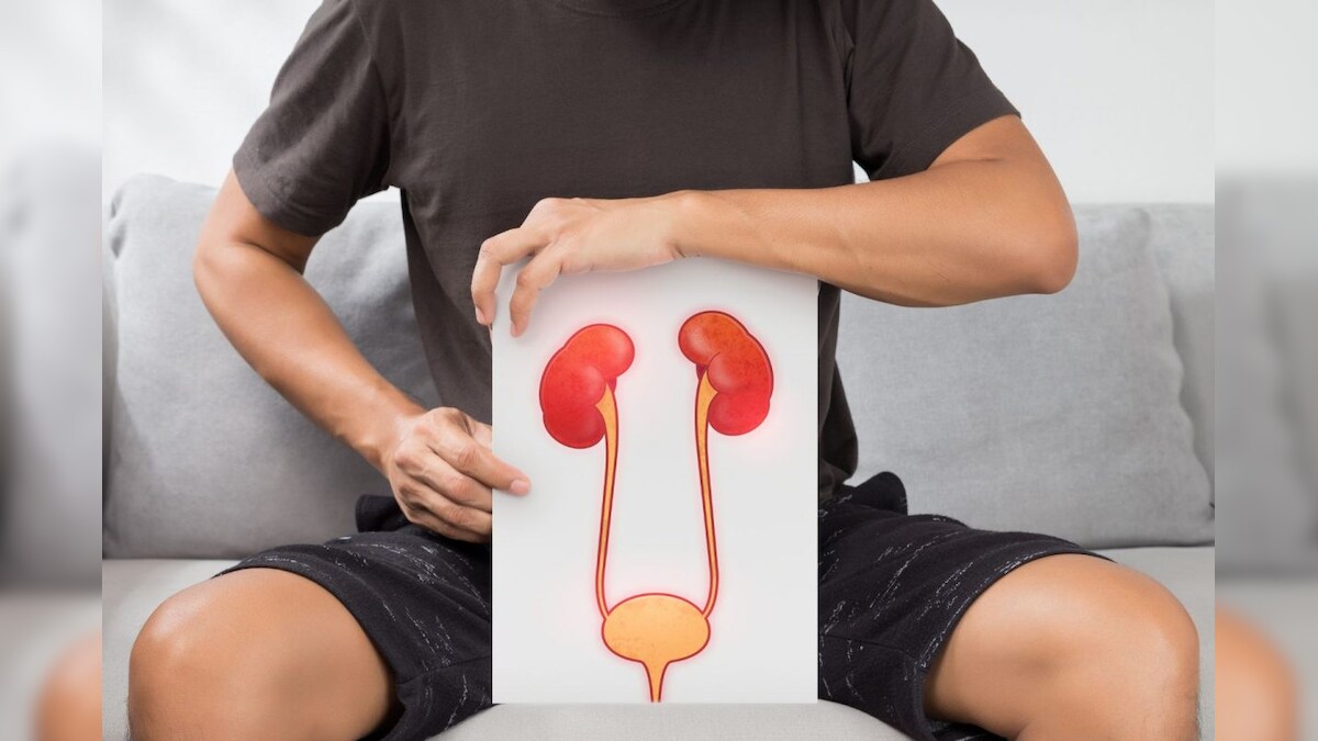 கிட்னி செயலிழக்க இதுதான் காரணமா.? ஆரம்ப நிலையிலேயே கண்டறிய உதவும் அறிகுறிகள் இவைதான்.! – News18 தமிழ்