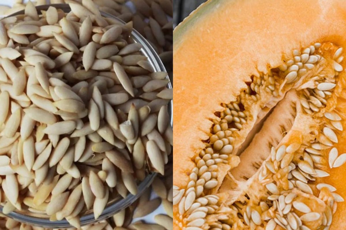 Dari kesehatan tulang hingga kesehatan jantung…manfaat biji semangka! Dari kesehatan tulang hingga kesehatan jantung…manfaat biji semangka!