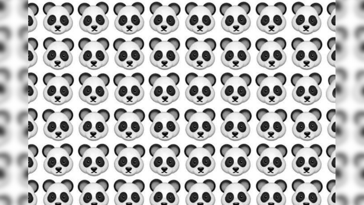 உங்களுக்கான சவால் இதோ... மறைந்திருக்கும் ரக்கூனை 6 நொடிகளில் கண்டுபிடிங்க பார்க்கலாம்... – News18 தமிழ்