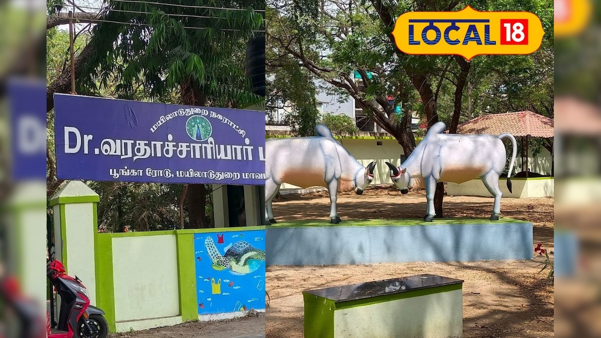 நம்ம மயிலாடுதுறையில் அதிநவீன வசதிகளுடன் கூடிய பூங்கா... எங்க இருக்கு தெரியுமா? – News18 தமிழ்
