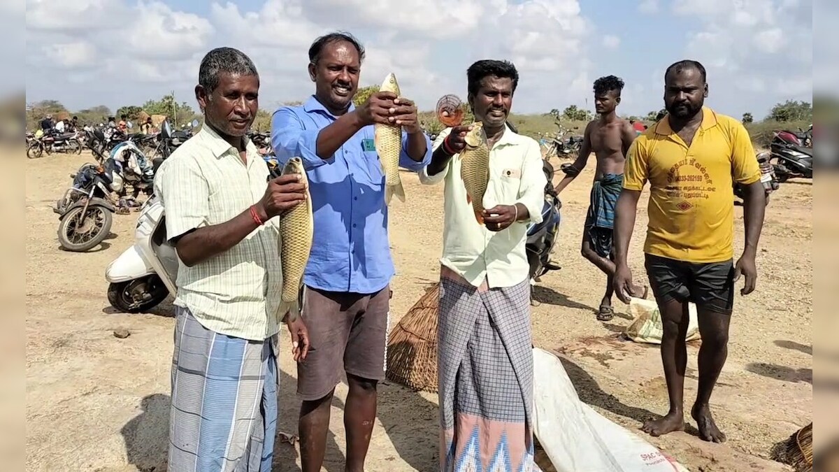 Traditional fishing festival villagers caught fish in a competition sne pdp – News18 தமிழ்