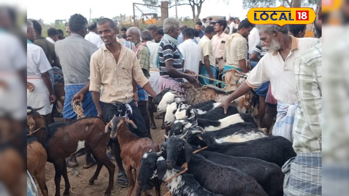 ரமலான் பண்டிகை.. ராமநாதபுரத்தில் ஒருகோடி ரூபாய்க்கு விற்பனையான ஆடுகள்  – News18 தமிழ்