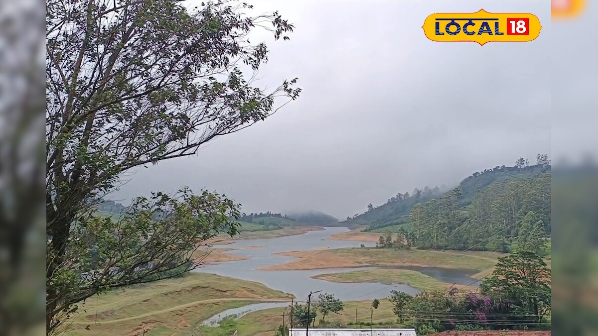 Summer Vacation : பட்ஜெட் சுற்றுலாவிற்கு தரமான இடம்.. மேகமலை சுற்றுலா ஒரு பார்வை.. – News18 தமிழ்