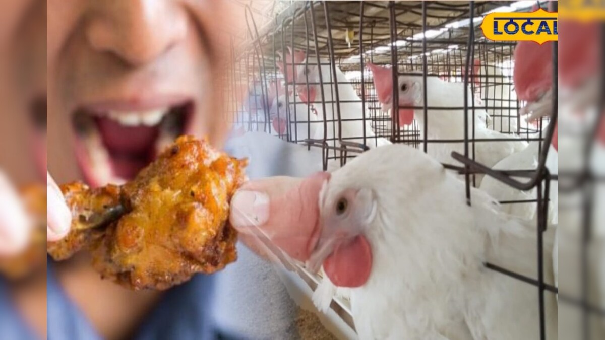 பறவைக் காய்ச்சல் - அச்சத்தில் அசைவ பிரியர்கள்... – News18 தமிழ்