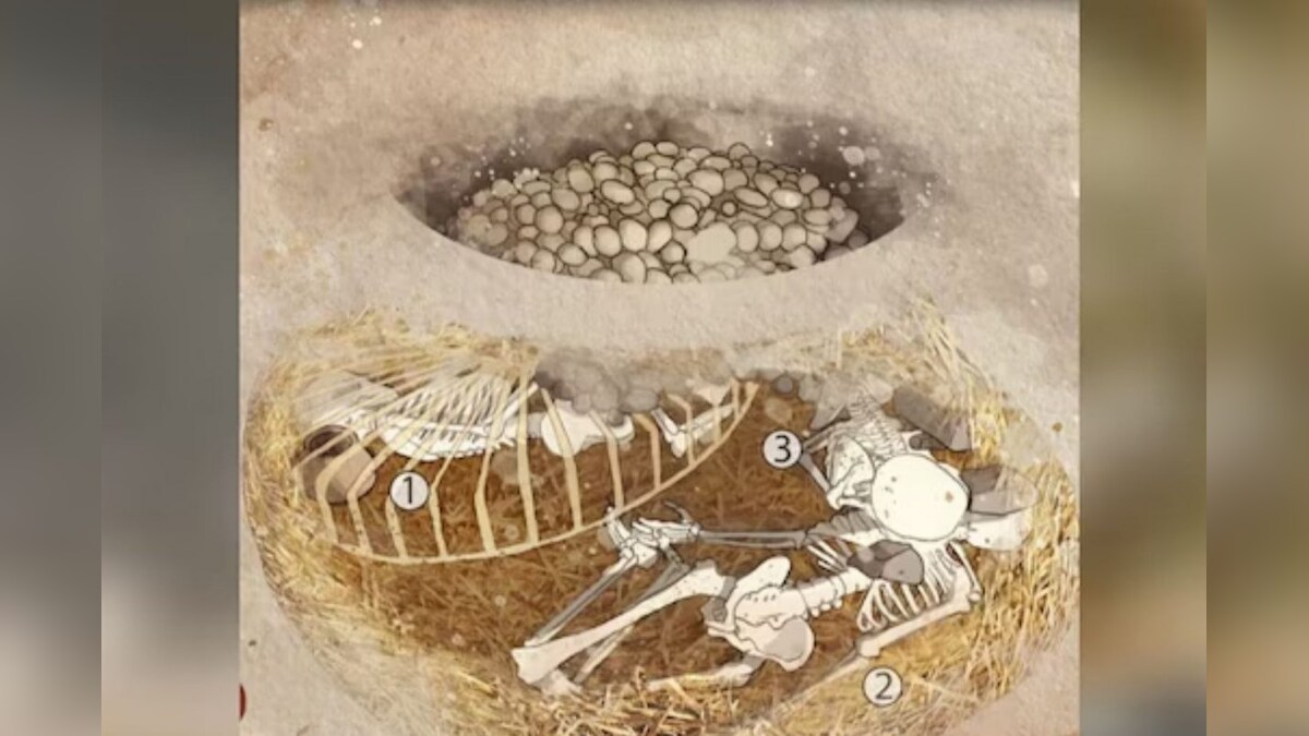 கால்கள் கட்டப்பட்டு உயிருடன் புதைக்கப்பட்ட பெண்கள்... 6 ஆயிரம் ஆண்டுகளுக்கு முன் நடந்த கொடூர உயிர்ப்பலிகள்! – News18 தமிழ்