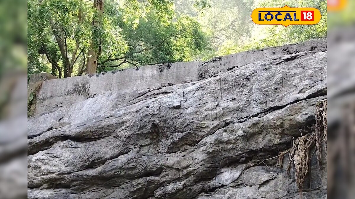 சுற்றுலா செல்கிறீர்களா? இந்த பகுதிக்கு மட்டும் வர வேண்டாம் - வனத்துறை அதிகாரிகள்... – News18 தமிழ்