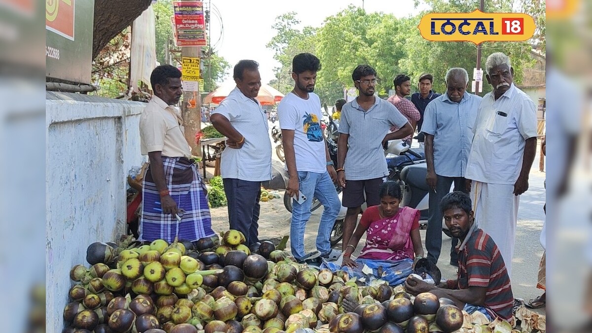 கோடை வெயிலின் தாக்கம்...நுங்கு விற்பனை படுஜோர் – News18 தமிழ்