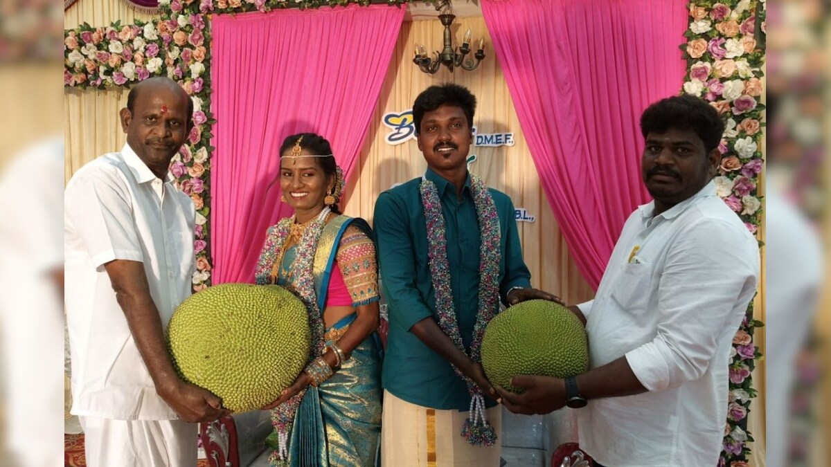 பலாப்பழம் சின்னத்தை பிரபலப்படுத்த ஓபிஎஸ் ஆதரவாளர்கள் விநோதம் – News18 தமிழ்