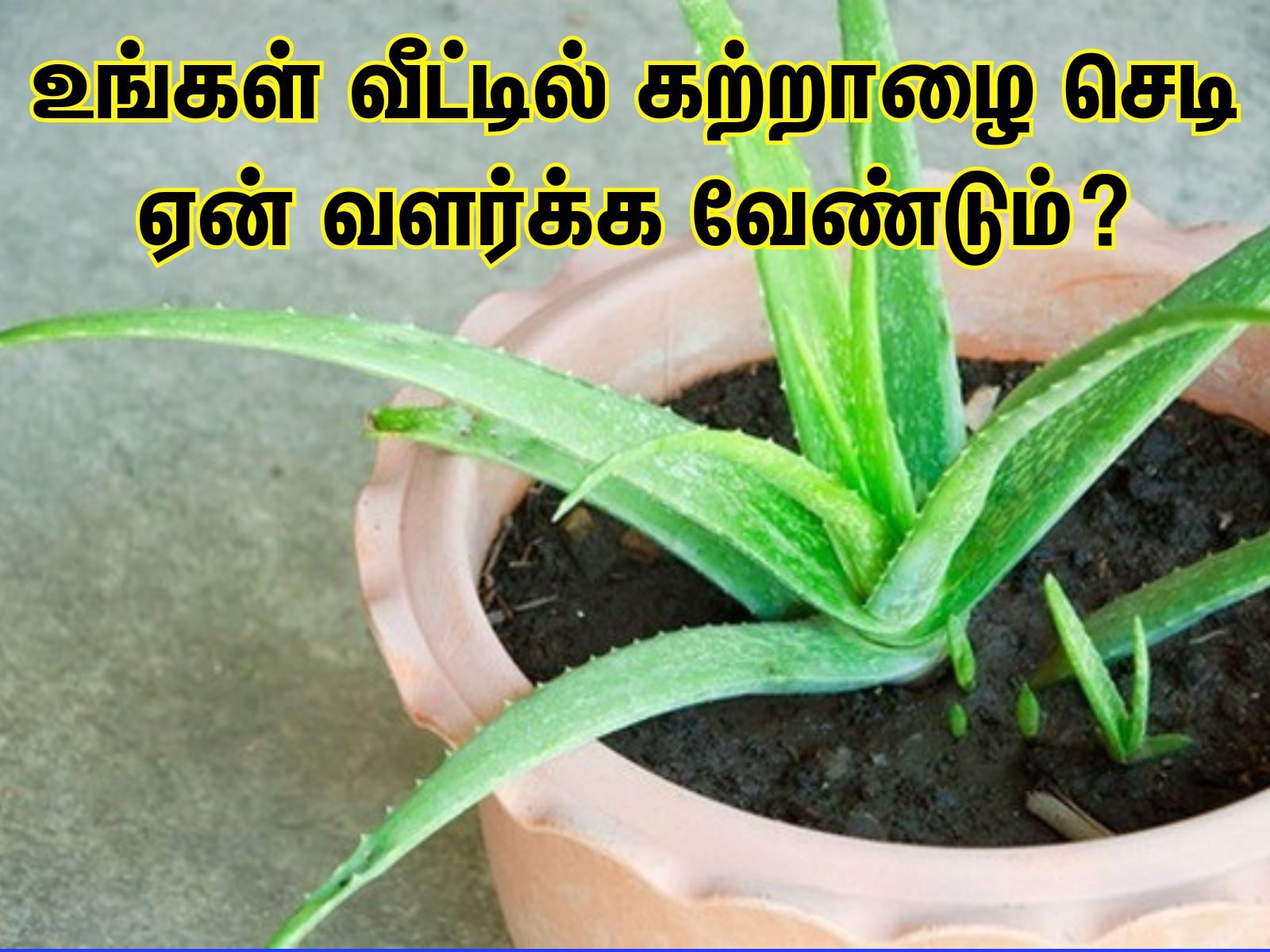 ..  ..? |     - News18 Tamil