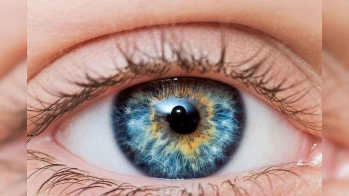 வெயில் காலத்தில் கண்களை பாதுகாக்க என்ன செய்ய வேண்டும்..? உங்களுக்கான சில டிப்ஸ்..! – News18 தமிழ்