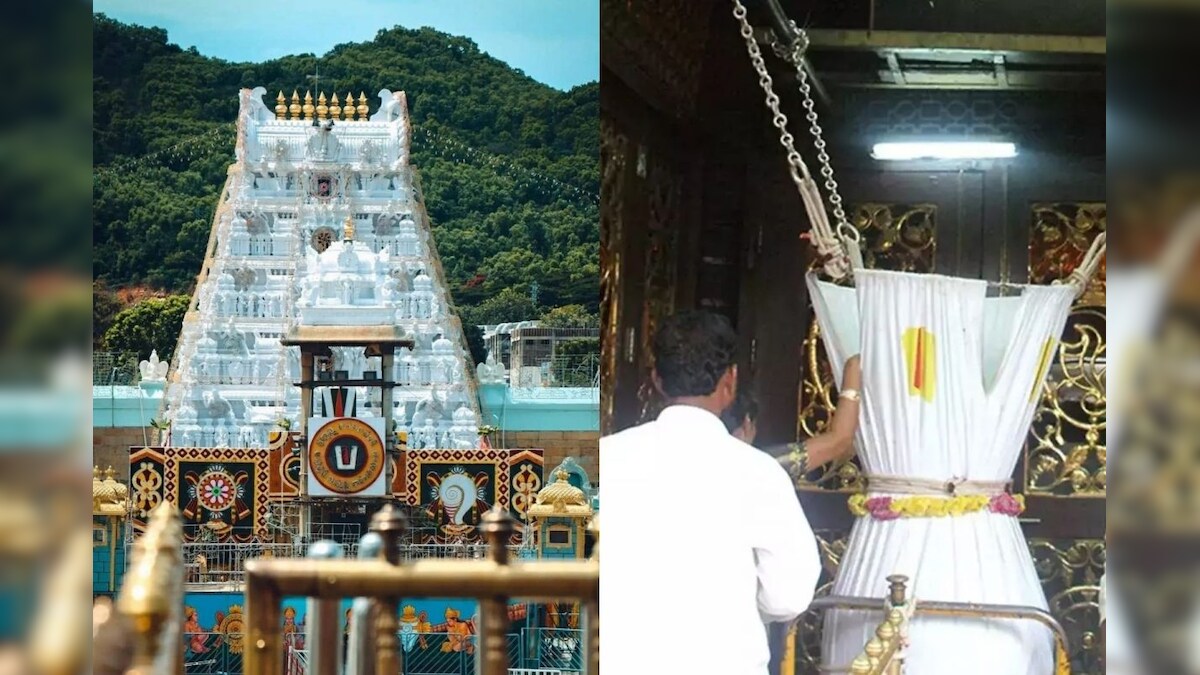 திருப்பதியில் குவியும் பக்தர்கள்.. ஏழுமலையான் உண்டியல் வசூல் எவ்வளவு தெரியுமா? – News18 தமிழ்