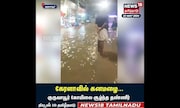 குருவாயூர் கோயிலை சூழ்ந்த தண்ணீர் | Kerala Rain | Rain Alert | Guruvayur Temple