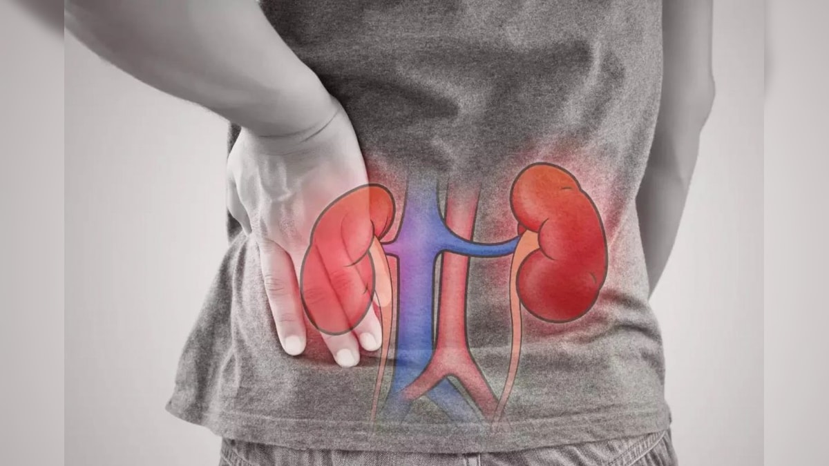 உங்களுக்கு சிறுநீரக பிரச்சனை இருக்கா..? இந்த உணவுகளை மட்டும் சாப்பிட்டுறாதீங்க..!