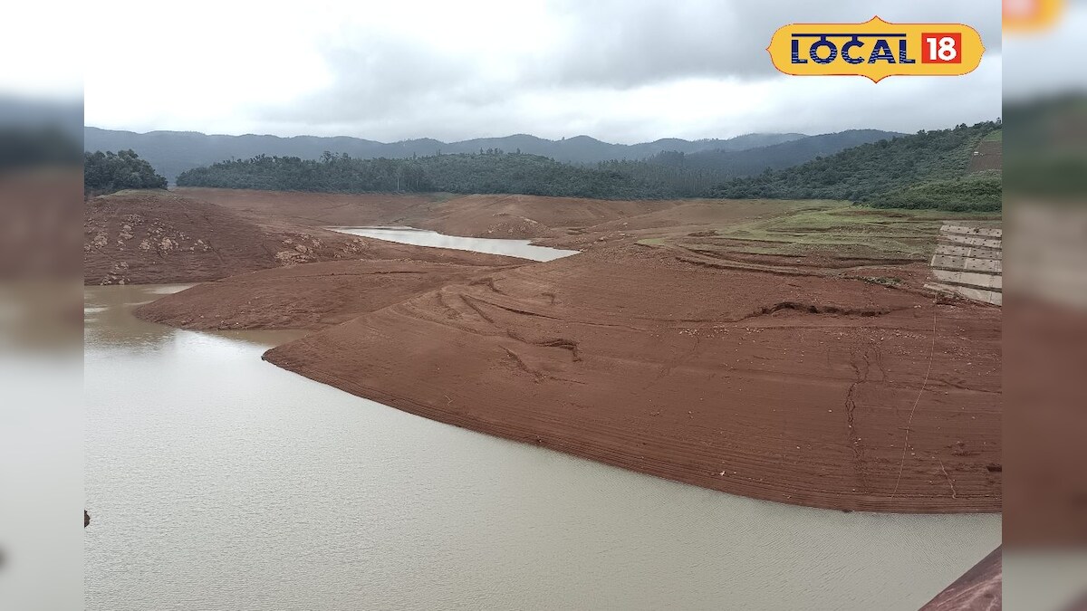 नीलगिरी में सूर्योदय, सूर्यास्त देखने के लिए सुपर स्पॉट… अब एमराल्ड झील के बारे में क्या…