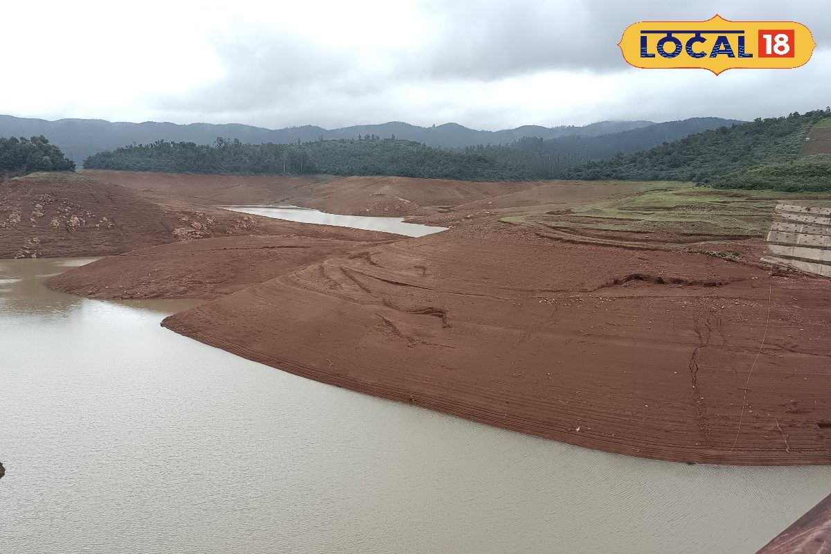 नीलगिरी में सूर्योदय, सूर्यास्त देखने के लिए सुपर स्पॉट… अब एमराल्ड झील के बारे में क्या… नीलगिरी में सूर्योदय, सूर्यास्त देखने के लिए सुपर स्पॉट… अब एमराल्ड झील के बारे में क्या…