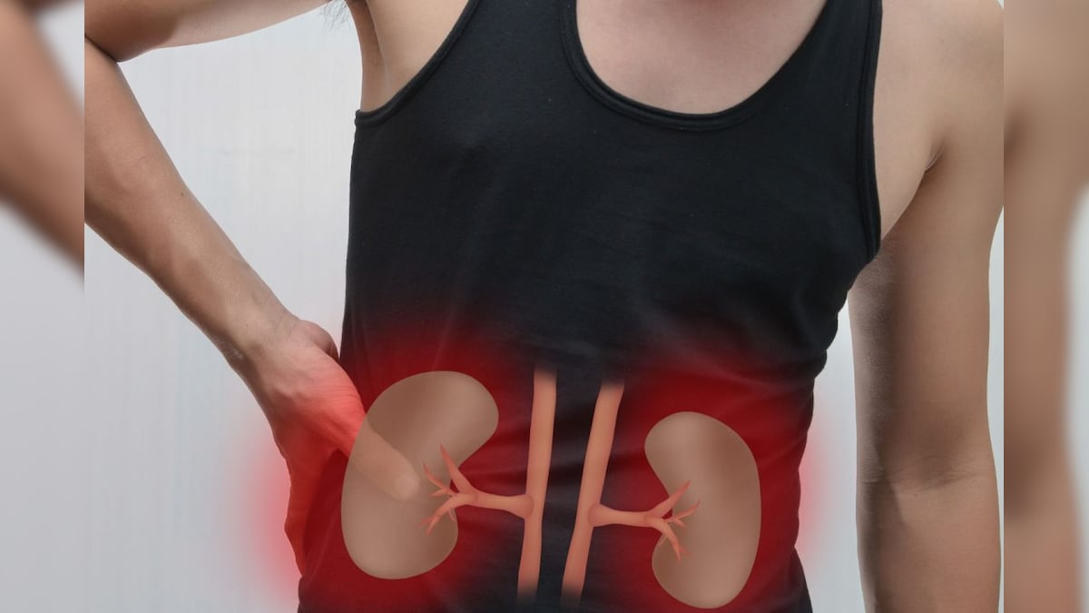 ஆரோக்கியமான சிறுநீரகங்களை பெற வேண்டுமா..? இந்த 8 உணவுகளை சாப்பிடுங்க...