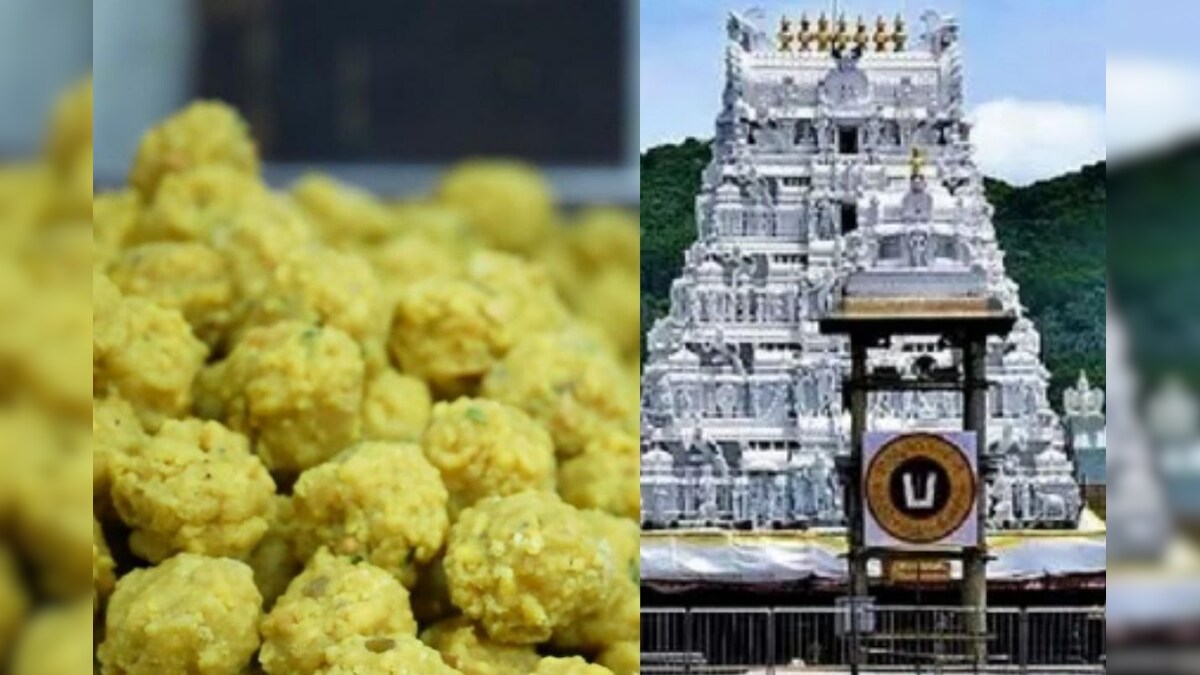 லட்டில் கலப்பட நெய் விவகாரம்... ஏழுமலையான் கோயிலில் ஆய்வு மேற்கொண்ட சிபிஐ அதிகாரிகள்! – News18 தமிழ்