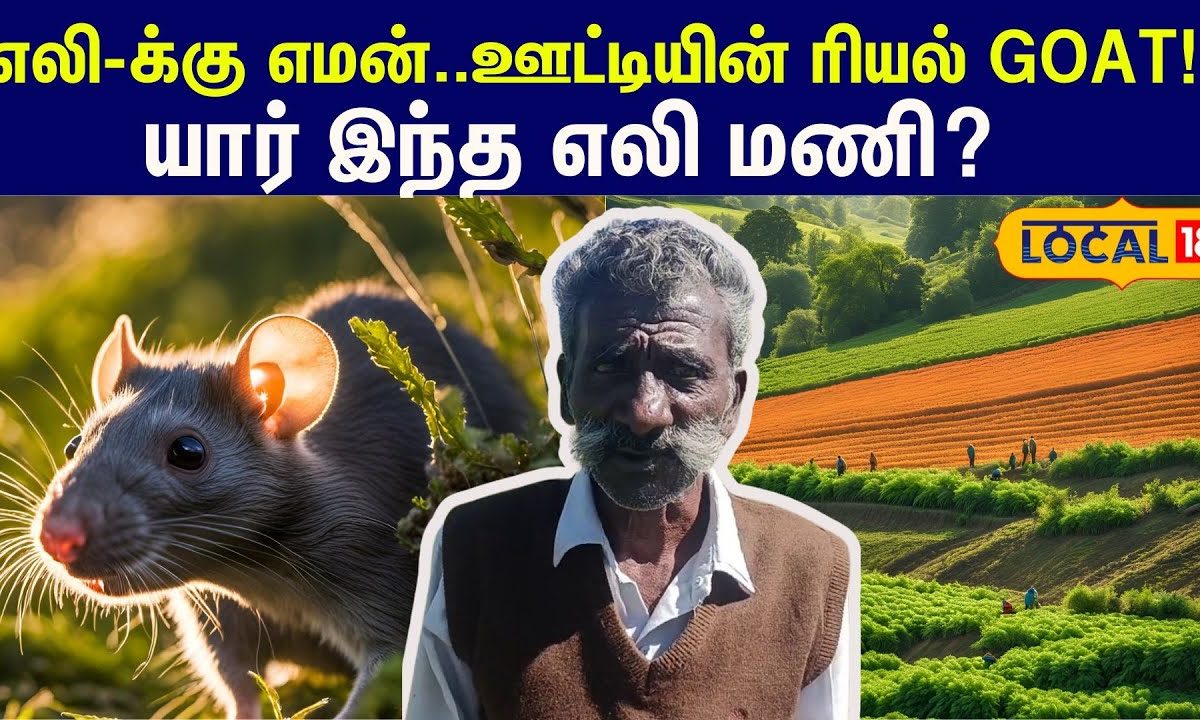 Rat Mani: எலி-க்கு எமன்..ஊட்டி-க்கு கிங்! யார் இந்த 'எலி' மணி? அதிகம் தேடப்படுவது எதனால்? #local18