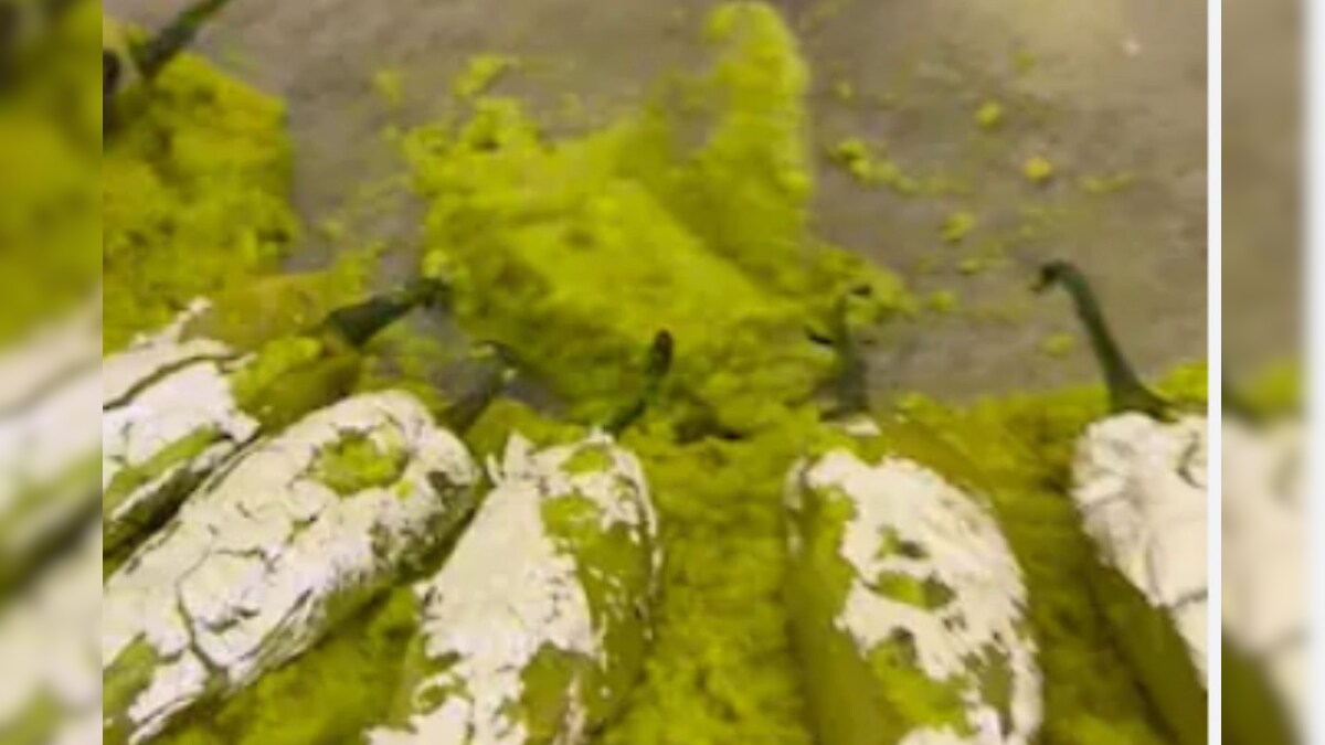 திருமண வரவேற்பு நிகழ்ச்சியில் விருந்தினர்களை குழப்பிய 'மிளகாய் அல்வா'; வைரல் வீடியோ... – News18 தமிழ்